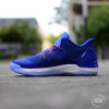 Adidas D.Rose 7 Low ''Knicks''