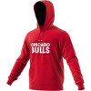 Chicago Bulls