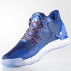 Adidas D.Rose 7 Low ''Knicks''