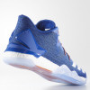 Adidas D.Rose 7 Low ''Knicks''