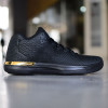 Air Jordan XXXI Low